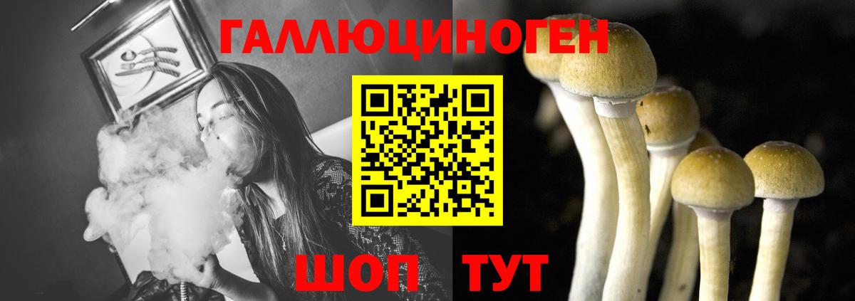 Кропоткин  Псилоцибиновые грибы GOLDEN TEACHER  Вход с VPN  Галлюциногенные грибы прущие грибы 